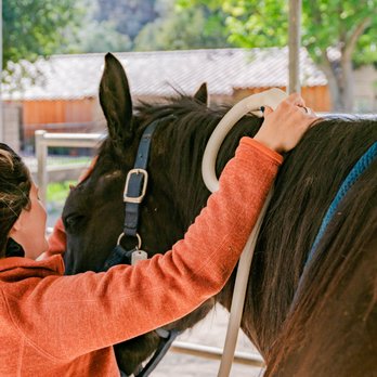 West Coast Magnawave - Animal Assisted Therapy Near Me West Coast Magnawave - Animal Assisted Therapy Near Me