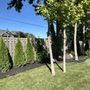 Photo of Solid Ground Solutions