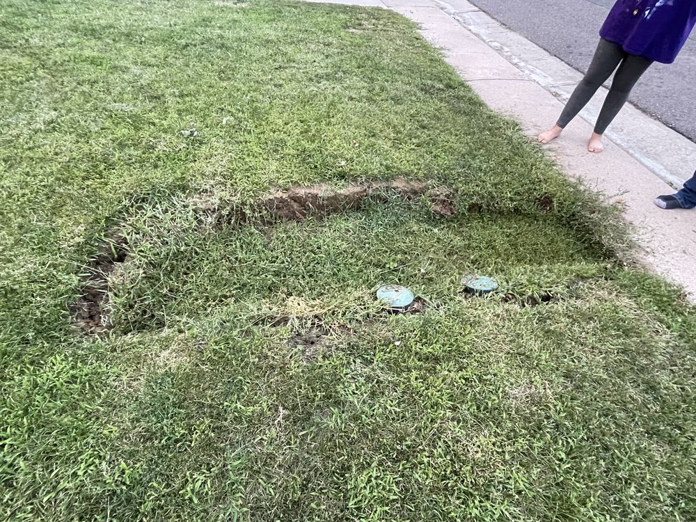 Slide of Rooter Town