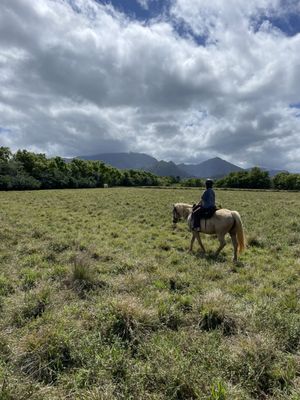 Princeville Ranch by null