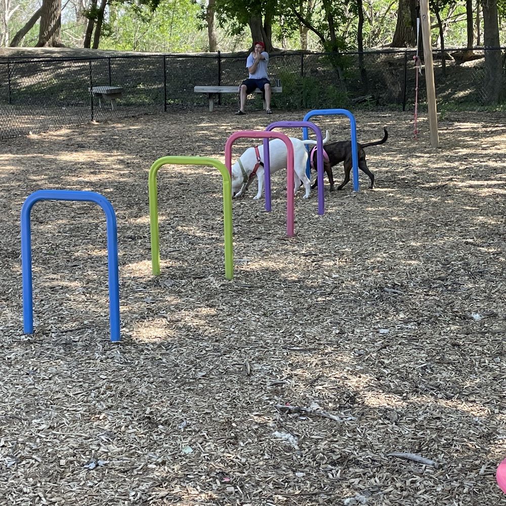 One only 2 dog parks