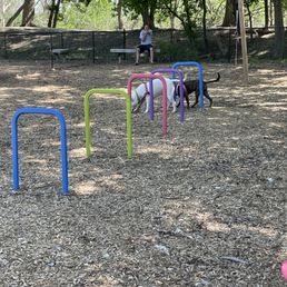 One only 2 dog parks