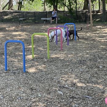 Sandusky / Bayshore KOA - One only 2 dog parks - RV Parks Near Me - Sandusky, Ohio