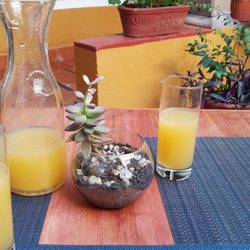 Posada Familiar Amelia - Tangerine water included in the meal