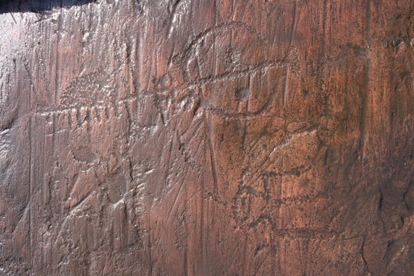 Jeffers Petroglyphs by null
