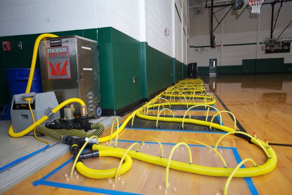 Dalworth Carpet Cleaning