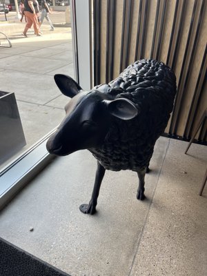 BlackSheep Pizza & Cocktails by null
