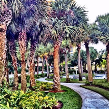 Parc Central Aventura - Walkway to center pool - Apartments Near Me - Miami, Florida Parc Central Aventura - Walkway to center pool - Apartments Near Me - Miami, Florida