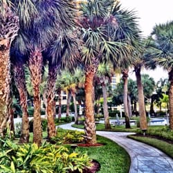 Parc Central Aventura - Walkway to center pool