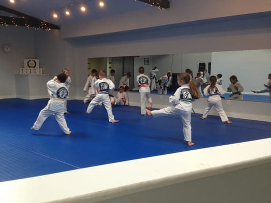 Garaguso Classical Martial Arts Wild Country Fine Arts