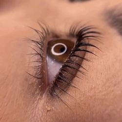 Lash and Beauty Loft