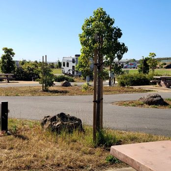 Dumbarton Quarry Campground - RV slots. Packed on memorial weekend. - Campgrounds Near Me - Fremont, California Dumbarton Quarry Campground - RV slots. Packed on memorial weekend. - Campgrounds Near Me - Fremont, California