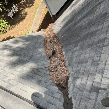 Gutter Goat - Valley before cleaning - Gutter Services Near Me