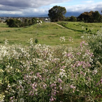 Bedwell Bayfront Park - Hiking Near Me - Menlo Park, California Bedwell Bayfront Park - Hiking Near Me - Menlo Park, California