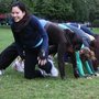 Photo of NYC Boot Camps