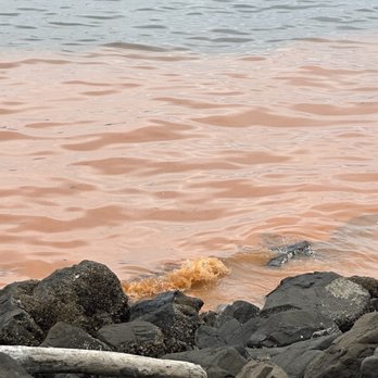 Saltwater State Park - Toxic water - Parks Near Me - Des Moines, Washington Saltwater State Park - Toxic water - Parks Near Me - Des Moines, Washington