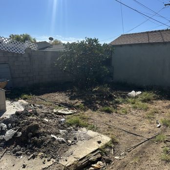 Tzuban Tree Services - Lemon tree after - Tree Services Near Me
