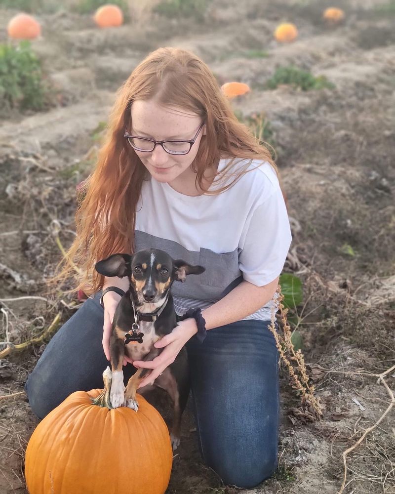 Kay’s Kritter Sitting - pet boarding facility in Conway, AR