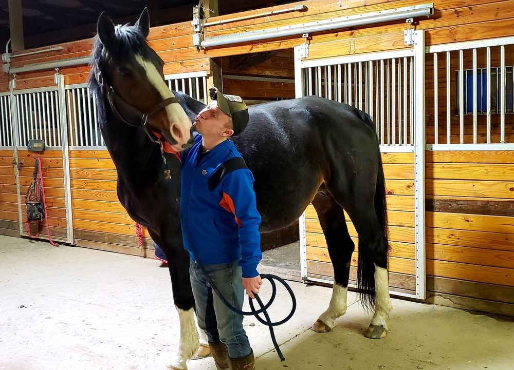 Finger Lakes Equestrian Center - equestrian in Canandaigua, NY
