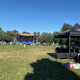 a crowd of people at a concert