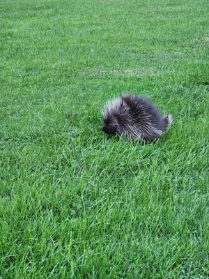 Wellesley Island State Park by null