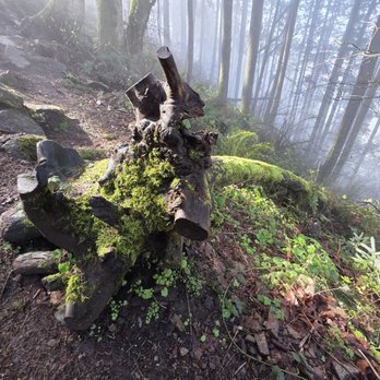 Poo Poo Point - Chirico Trail - Hiking Near Me