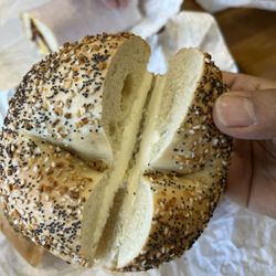 Your Bagel Cafe