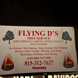 FLYING D TREE  SEV