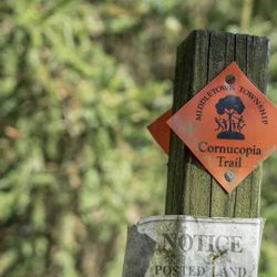 Cornucopia Trail