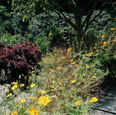 BenCab Museum by null