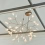 Design Within Reach - Oxnard Outlet