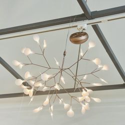 Design Within Reach - Oxnard Outlet - Heracleum lII Pendant in Rose Gold