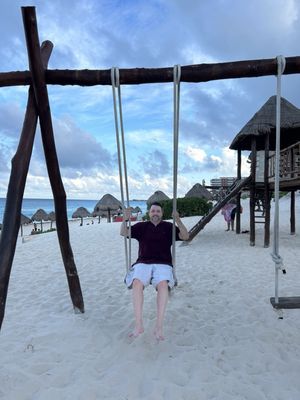 Dolphins Beach by null