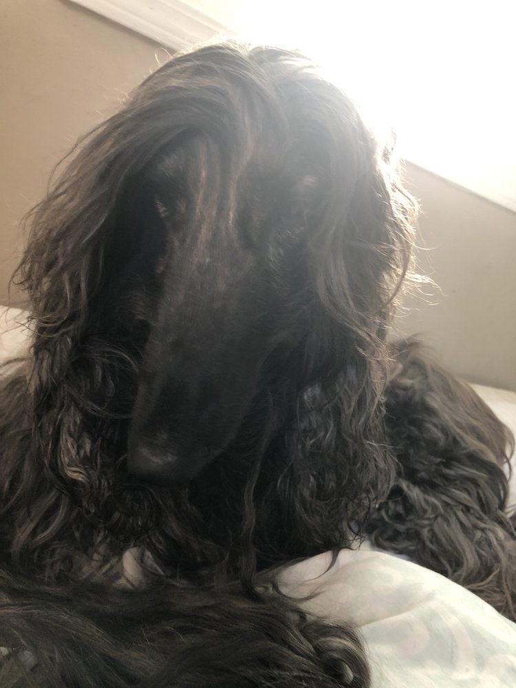 VETERINARY MEDICAL CENTER Updated September 2024 14 Reviews 205