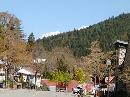 Dunsmuir Lodge by null