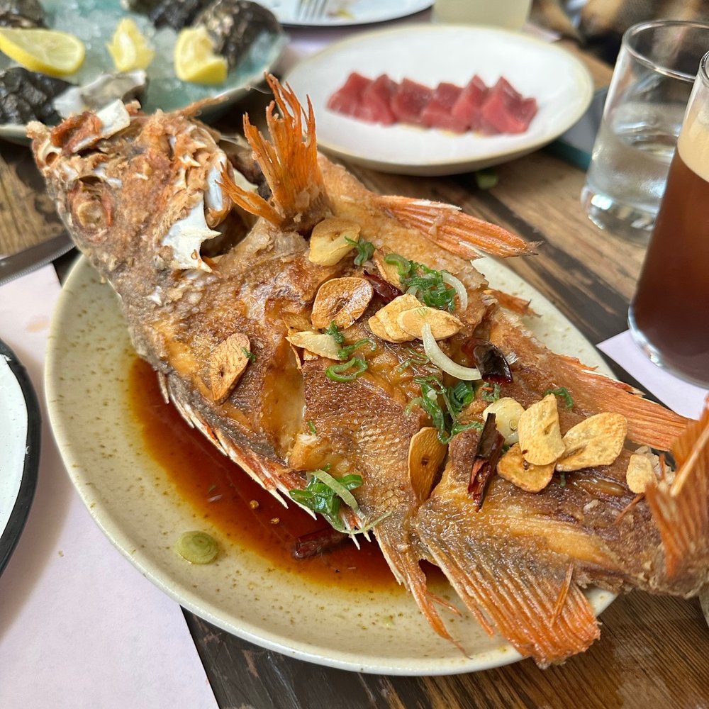 Campobaja - Fried Red Snapper - Seafood Near Me - México, D.F., DIF Campobaja - Fried Red Snapper - Seafood Near Me - México, D.F., DIF