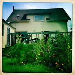 A view from the back, with rhubarb in full-bloom. A view from the back, with rhubarb in full-bloom.