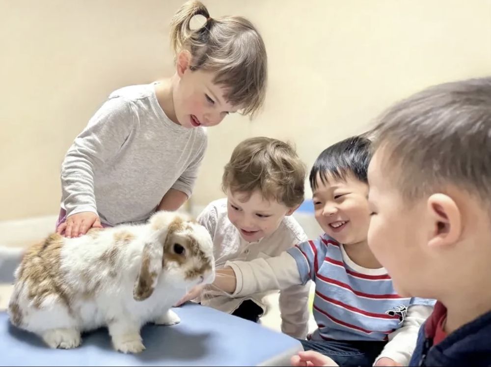 Creative Valley Child Care - childcare center in San Francisco, CA