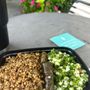 Photo of Tabouli Middle Eastern Restaurant