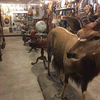 Ballyhoo Curiosity Shop - Antiques Near Me - Seattle, Washington Ballyhoo Curiosity Shop - Antiques Near Me - Seattle, Washington