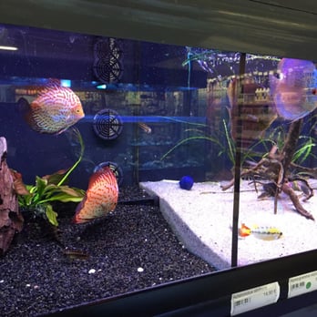 Botanic - Florists Near Me - Ecully, 69