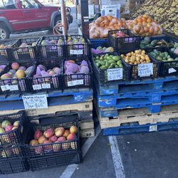 Navarro's Party Supply - Lots of produce