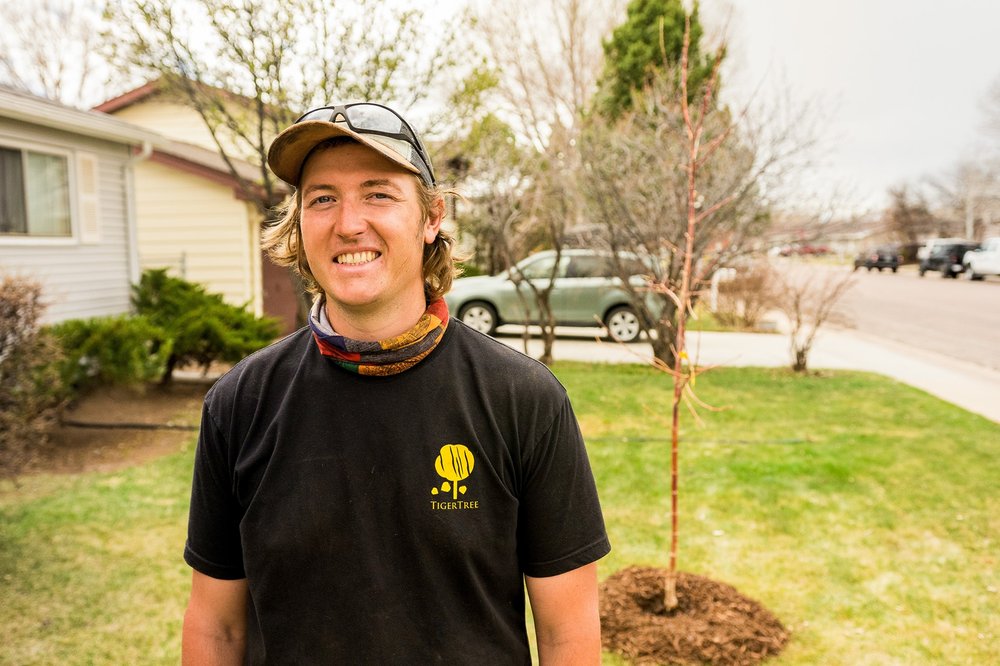 TigerTree - tree service in Laramie, WY