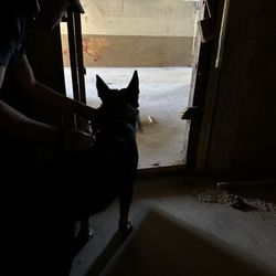 The K9 Commander