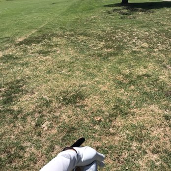 Wilson Golf Course - Golf Near Me - Los Angeles, California