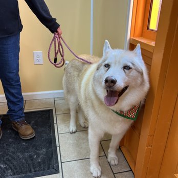 Fancy Paws of Wellsboro - Pet Groomers Near Me - Wellsboro, Pennsylvania Fancy Paws of Wellsboro - Pet Groomers Near Me - Wellsboro, Pennsylvania