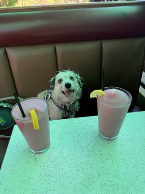 Tweedy's Bar by null