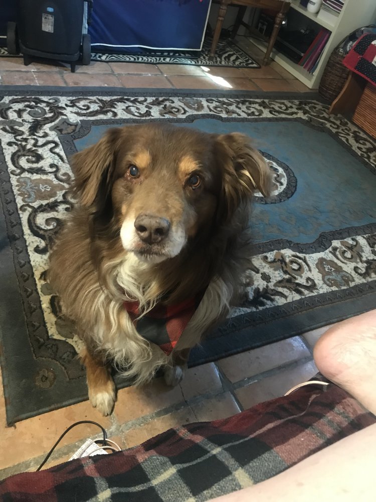 HAPPY ENDINGS INHOME PET EUTHANASIA Updated September 2024 4727 E