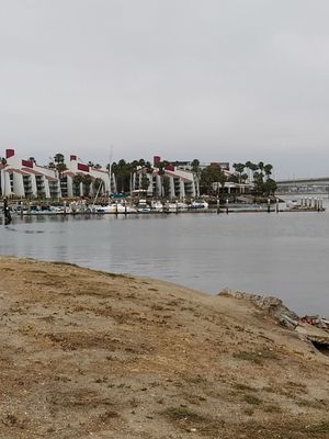 Harry Bridges Memorial Park by null