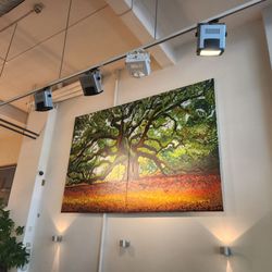 Spirit Rotterdam